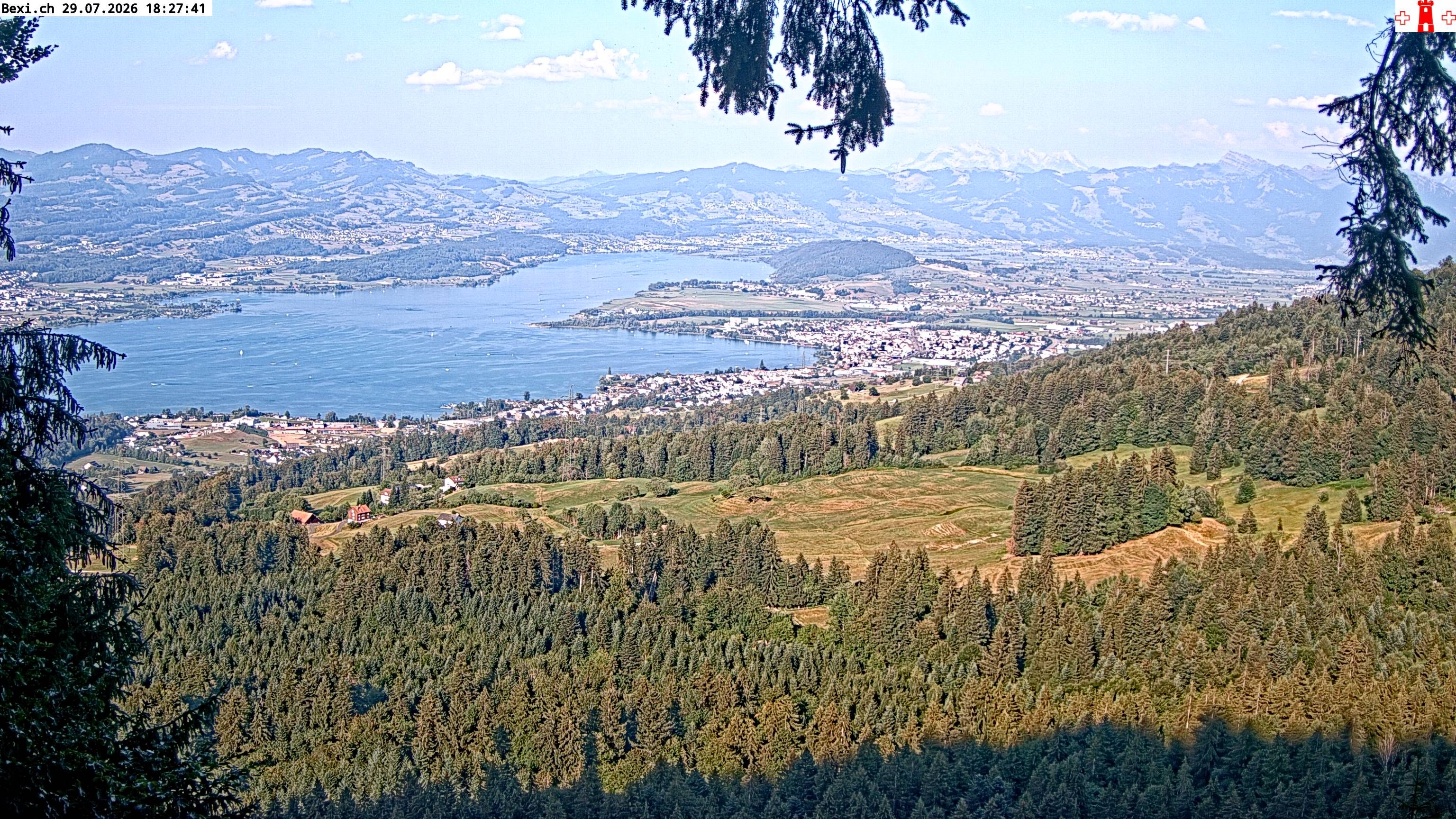 Feusisberg › Osten: Zürichsee