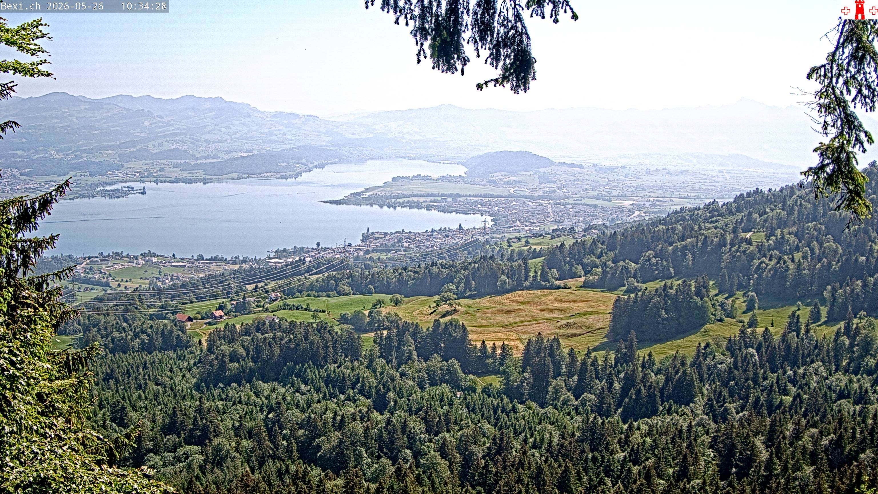 Feusisberg › Osten: Zürichsee