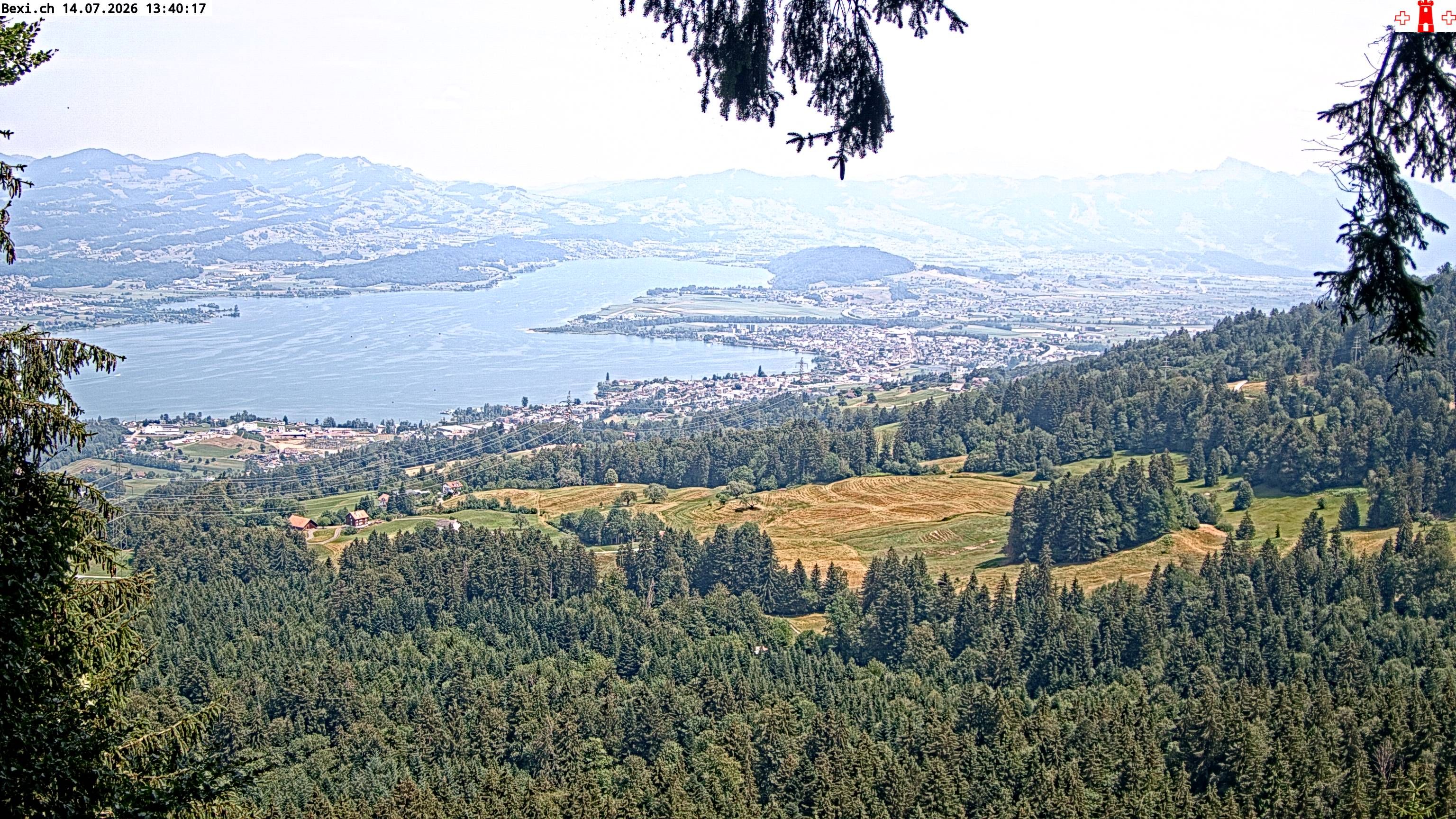 Feusisberg › Osten: Zürichsee