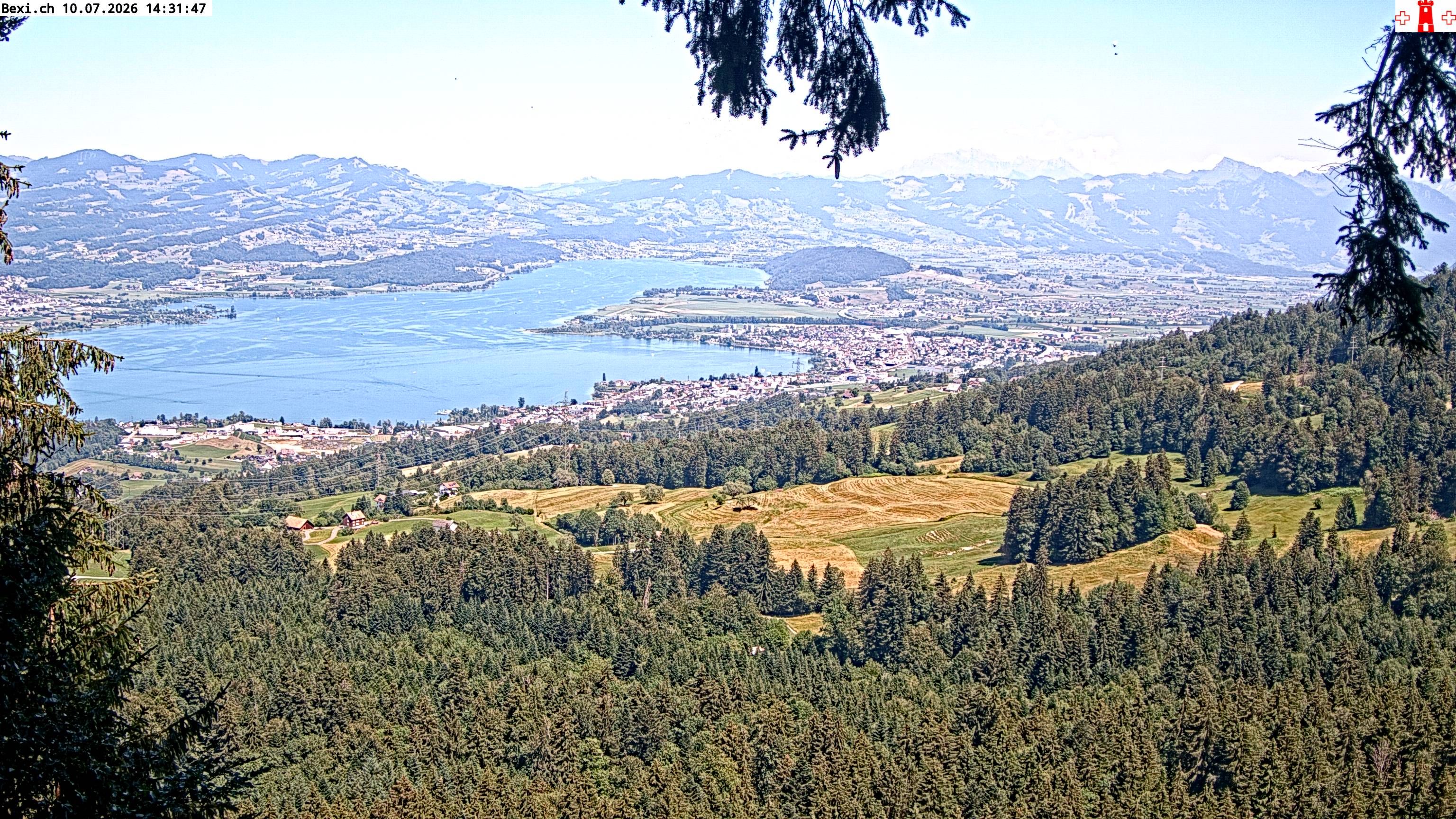 Feusisberg › Osten: Zürichsee