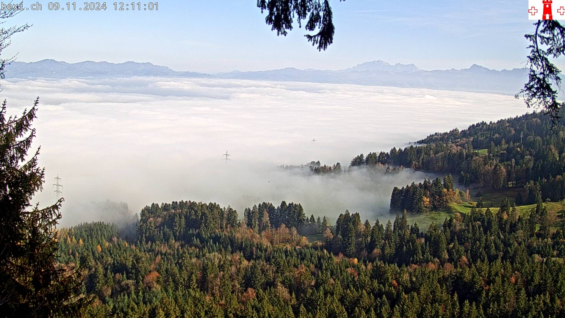 Feusisberg › Ost: Zürichsee