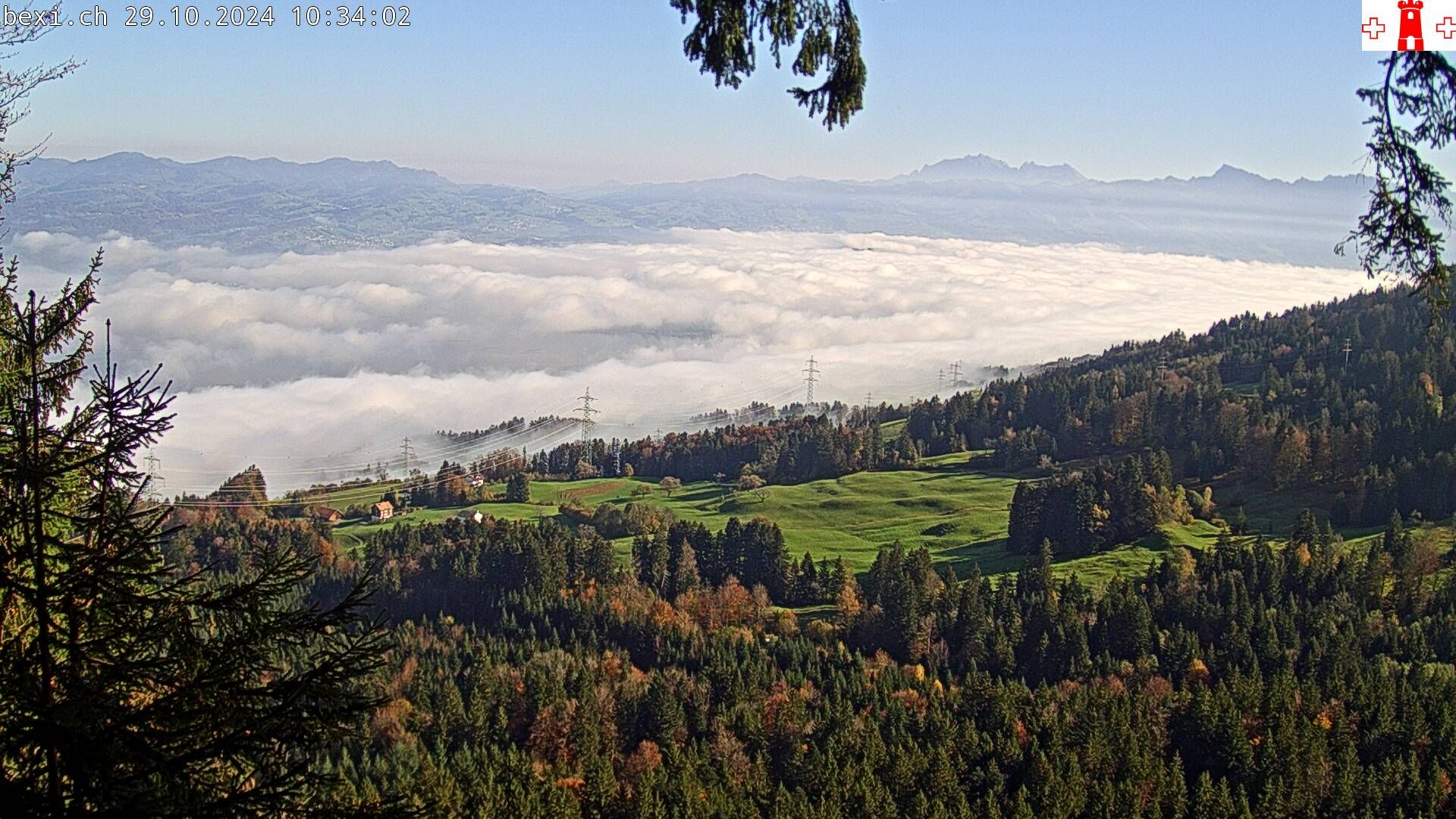 Feusisberg › Ost: Zürichsee