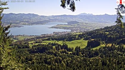 Feusisberg › Ost: Zürichsee