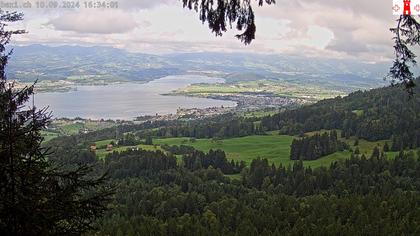 Feusisberg › Ost: Zürichsee