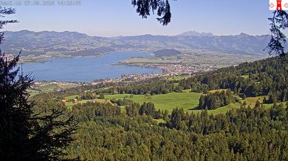 Feusisberg › Ost: Zürichsee