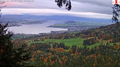 Feusisberg › Ost: Zürichsee