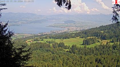 Feusisberg › Ost: Zürichsee