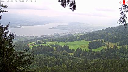 Feusisberg › Ost: Zürichsee