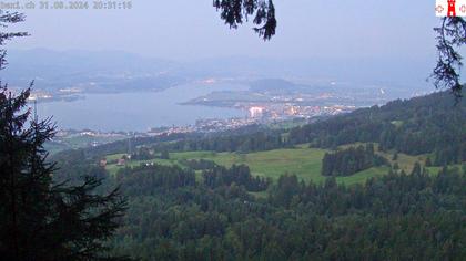 Feusisberg › Ost: Zürichsee