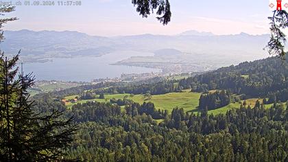 Feusisberg › Ost: Zürichsee