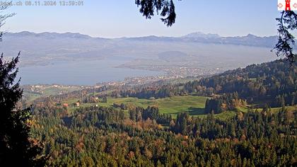 Feusisberg › Ost: Zürichsee