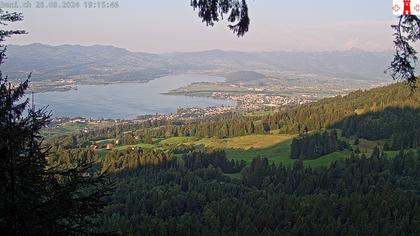 Feusisberg › Ost: Zürichsee