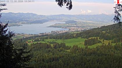 Feusisberg › Ost: Zürichsee