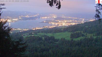 Feusisberg › Ost: Zürichsee