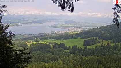 Feusisberg › Ost: Zürichsee