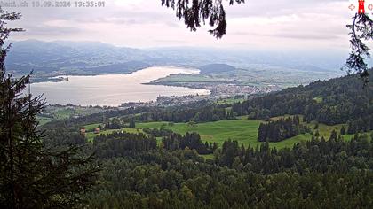 Feusisberg › Ost: Zürichsee