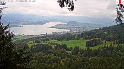 Feusisberg › Ost: Zürichsee