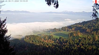 Feusisberg › Ost: Zürichsee