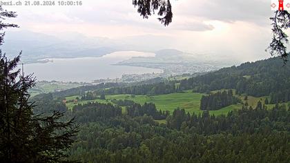 Feusisberg › Ost: Zürichsee