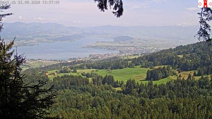 Feusisberg › Ost: Zürichsee