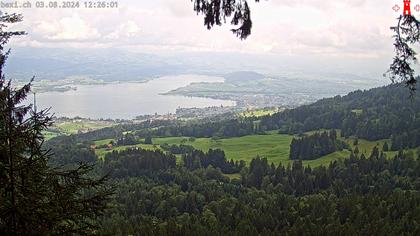 Feusisberg › Ost: Zürichsee