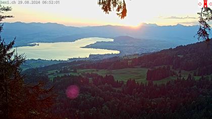 Feusisberg › Ost: Zürichsee