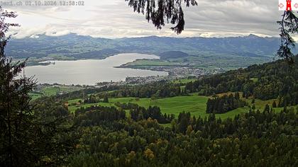 Feusisberg › Ost: Zürichsee