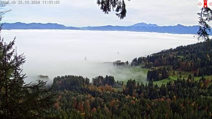 Feusisberg › Ost: Zürichsee