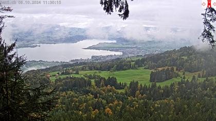 Feusisberg › Ost: Zürichsee