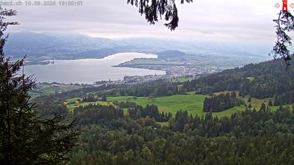 Feusisberg › Ost: Zürichsee