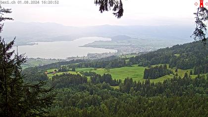 Feusisberg › Ost: Zürichsee