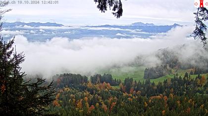 Feusisberg › Ost: Zürichsee