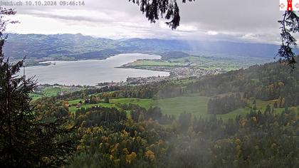 Feusisberg › Ost: Zürichsee