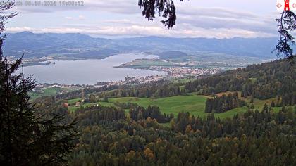 Feusisberg › Ost: Zürichsee