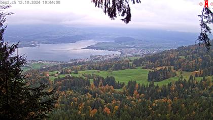 Feusisberg › Ost: Zürichsee