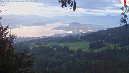 Feusisberg › Ost: Zürichsee