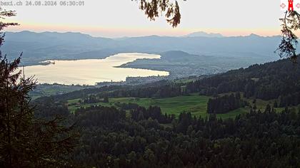 Feusisberg › Ost: Zürichsee