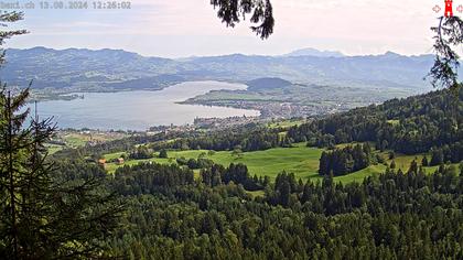 Feusisberg › Ost: Zürichsee