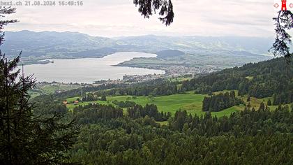 Feusisberg › Ost: Zürichsee