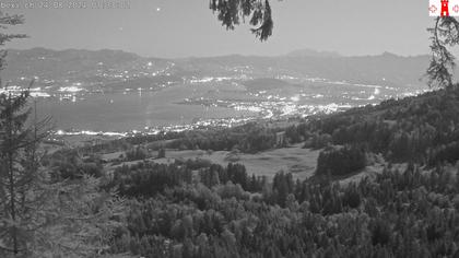 Feusisberg › Ost: Zürichsee