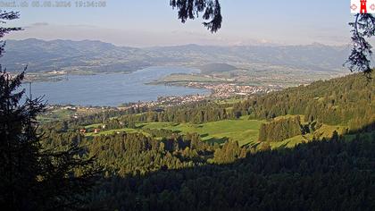 Feusisberg › Ost: Zürichsee