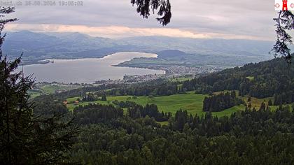 Feusisberg › Ost: Zürichsee