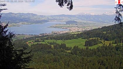 Feusisberg › Ost: Zürichsee