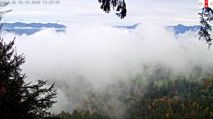 Feusisberg › Ost: Zürichsee