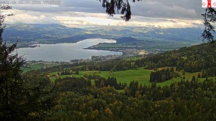 Feusisberg › Ost: Zürichsee