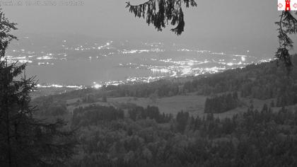 Feusisberg › Ost: Zürichsee