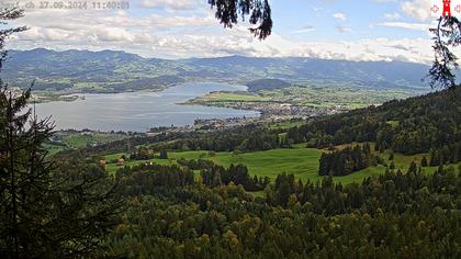 Feusisberg › Ost: Zürichsee