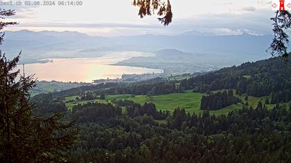 Feusisberg › Ost: Zürichsee