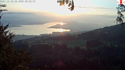 Feusisberg › Ost: Zürichsee