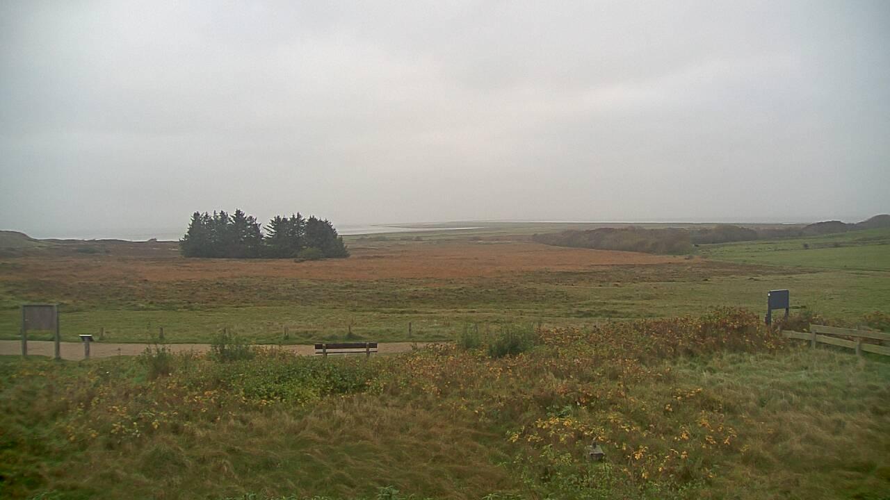Sylt › South-East: Morsum